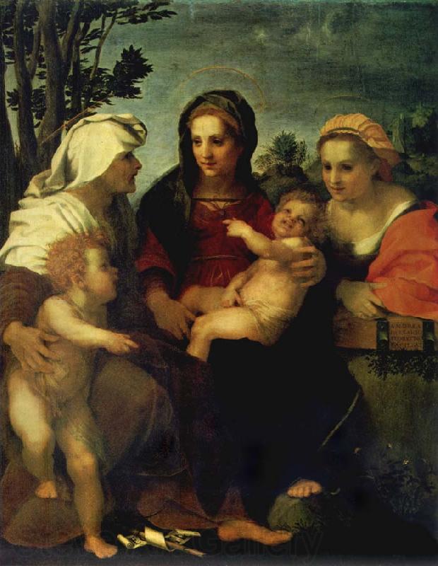 Andrea del Sarto Madonna and child with Sts Catherine and Elizabeth,and St John the Baptist Norge oil painting art